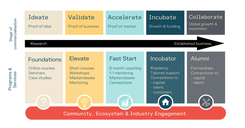Program Cicade March 2022 CEO Update
